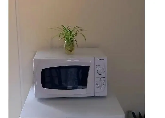 Anexo Na Quintinha Apartamento *