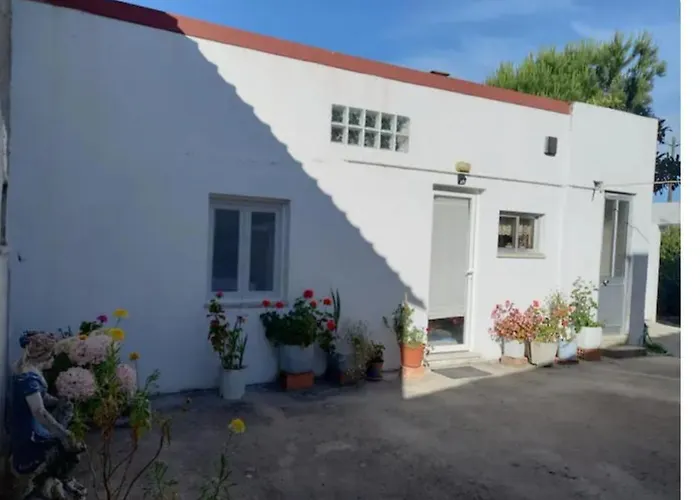 Anexo Na Quintinha *